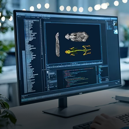 Micro-CT