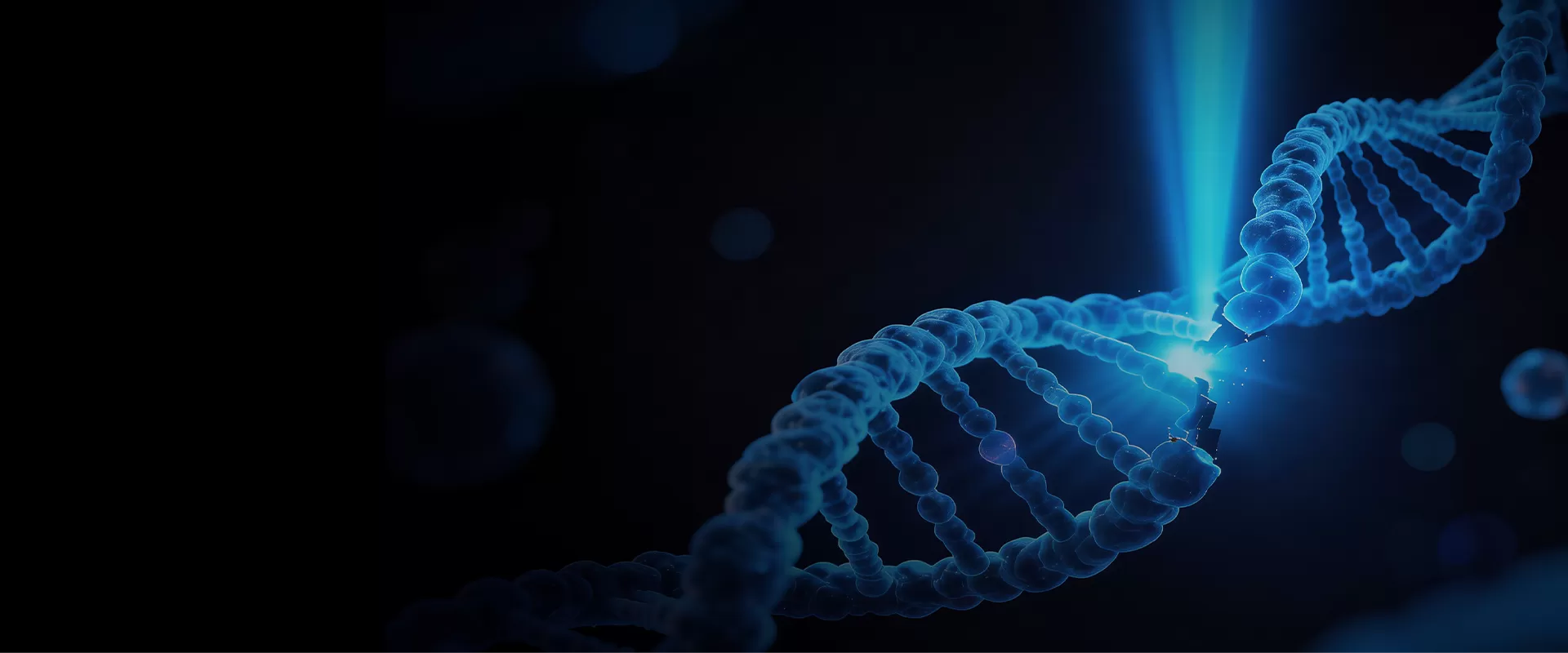 X射线生物辐照
