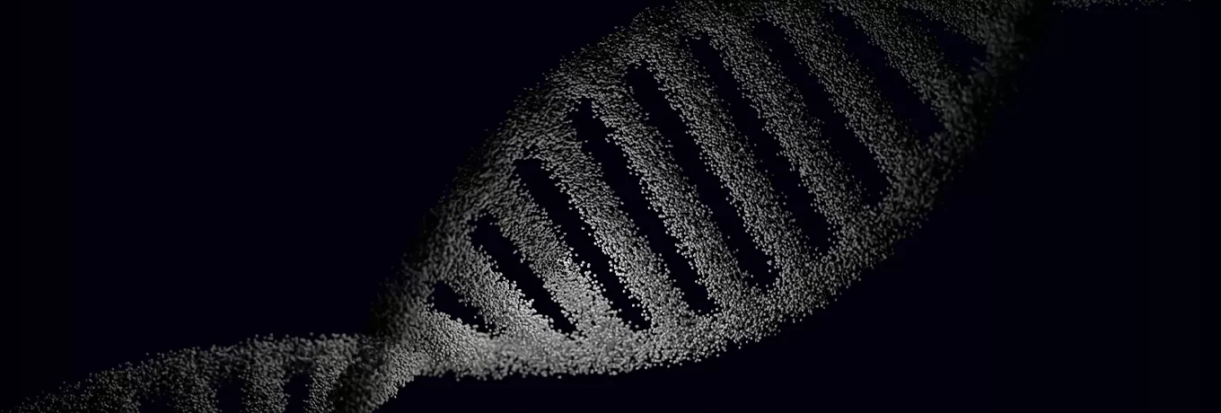 X射线生物辐照解决方案